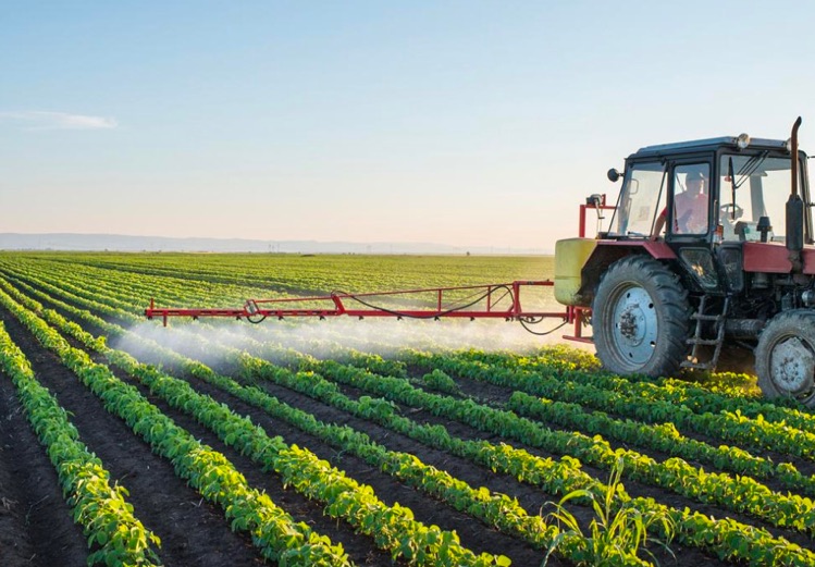 agricoltura-salento-consorzio-oggi